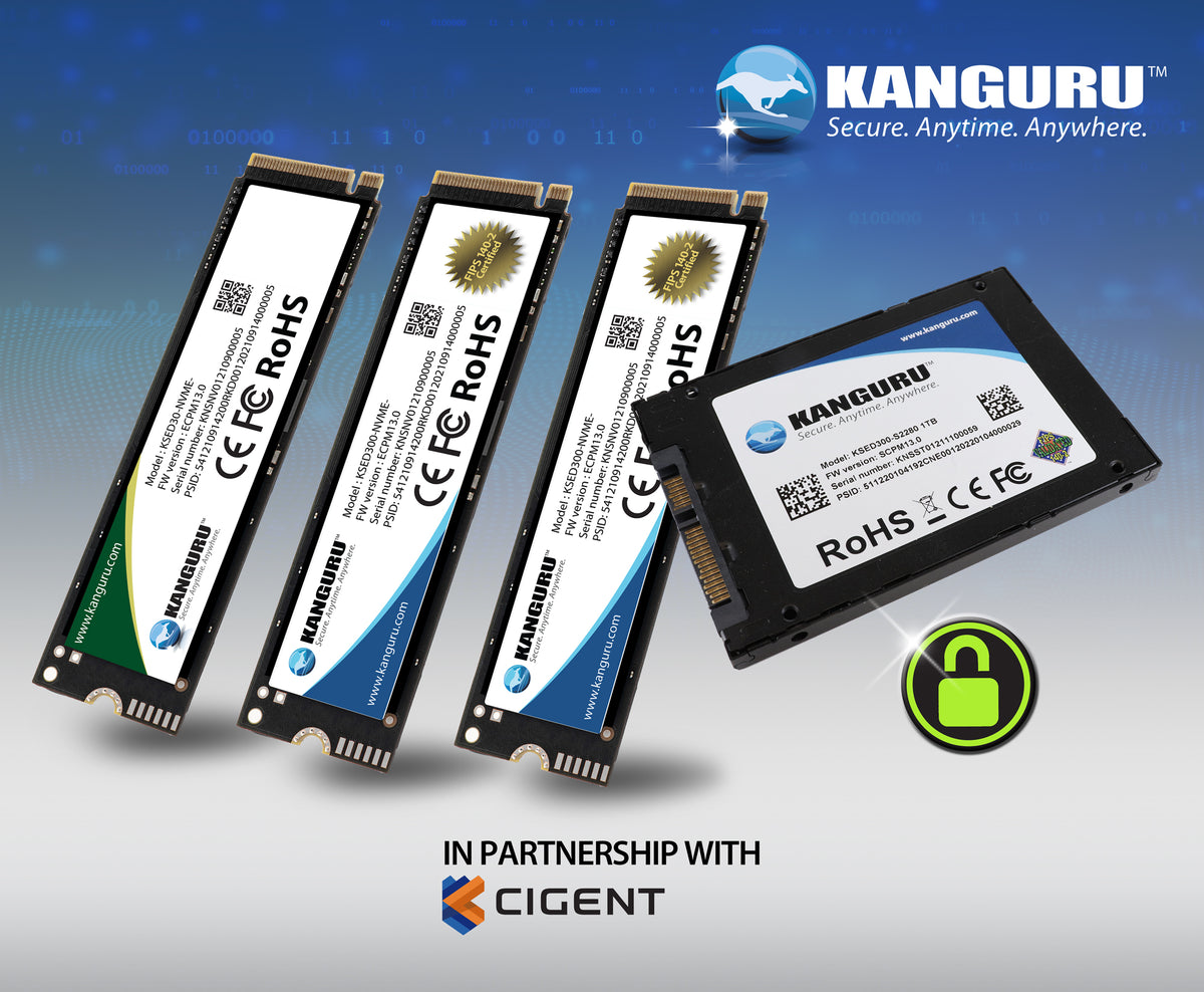 Kanguru introduces an exceptional new line of Hardware-Based, Self-Encrypting Drives designed to help organizations secure their data on laptops and tablets.