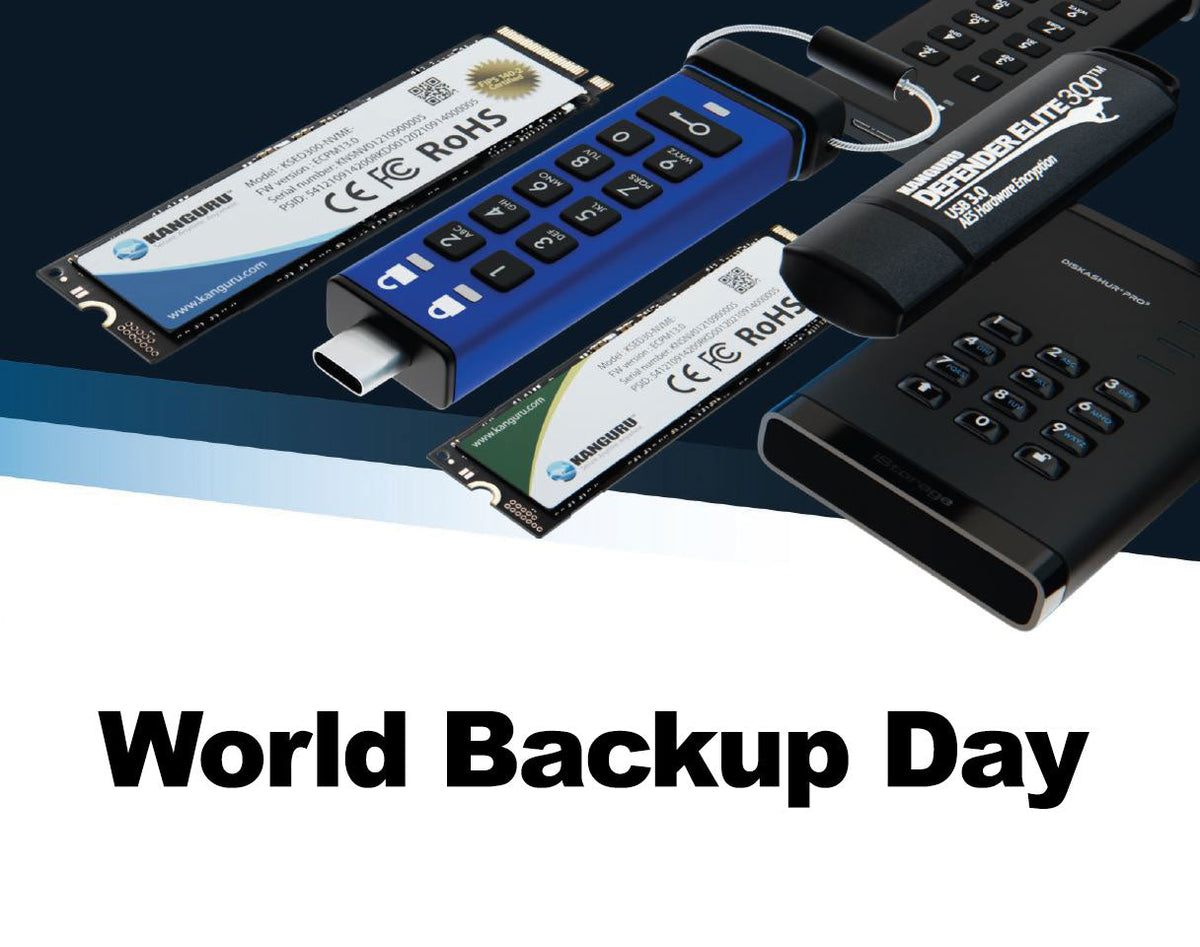 World Backup Day March 31, 2025- A Look At Best Practices, and The Case for Offline Data Back Ups