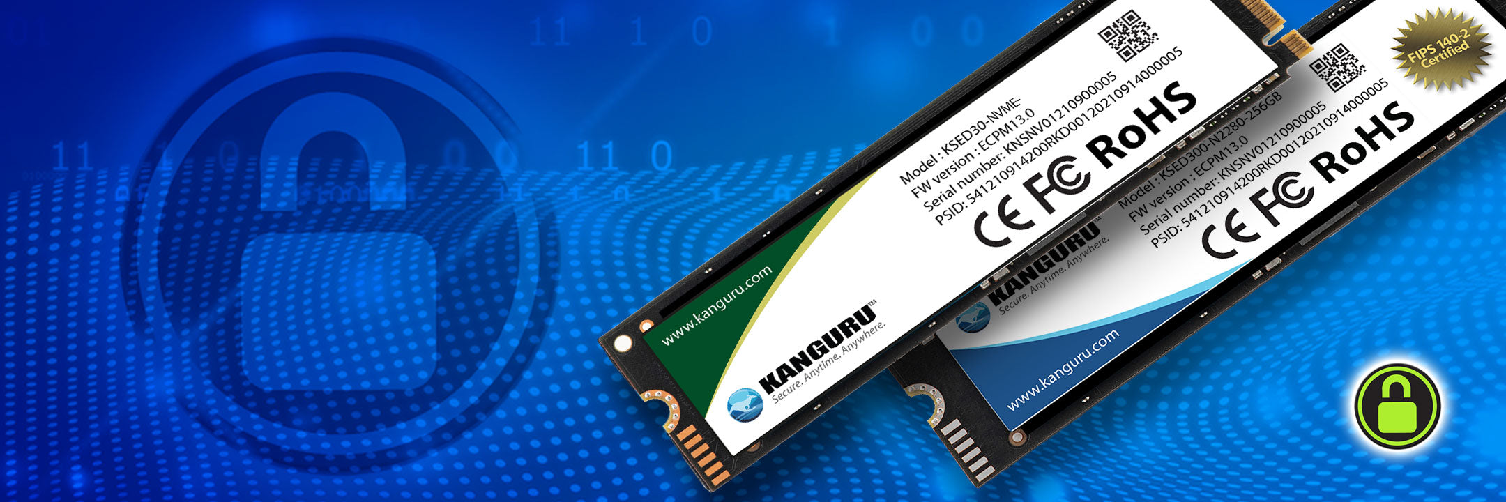 Kanguru FIPS Secure Encrypted USB, HD SSD NVMe DVD Blu-ray Kanguru FIPS Secure Encrypted USB, HD SSD NVMe DVD Blu-ray