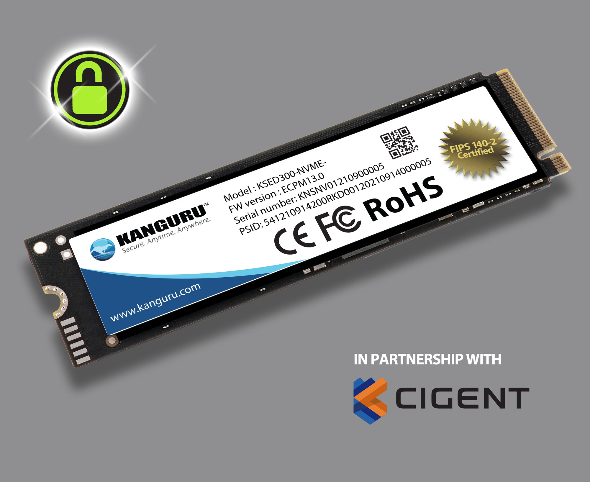 Kanguru has partnered with Cigent® Technology to provide the highest-level security for organizations with this exceptional self-encrypting SED data security solution. The FIPS 140-2 Certified, Kanguru Opal SED300™ with Kanguru Data Defense™ is a hardware-based self-encrypting drive that provides full disk data security at rest.